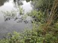 Schuilplaats-1