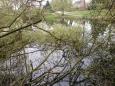 Schuilplaats-14