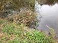 Schuilplaats-17